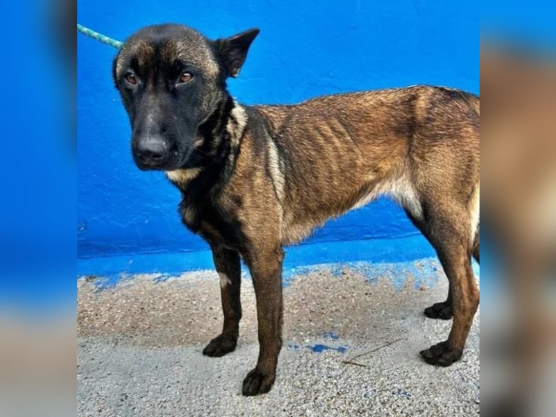 LILA will gefördert werden