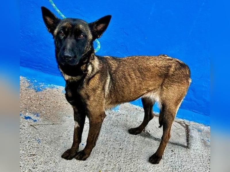 LILA will gefördert werden