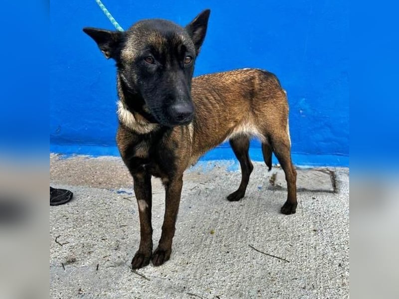 LILA will gefördert werden