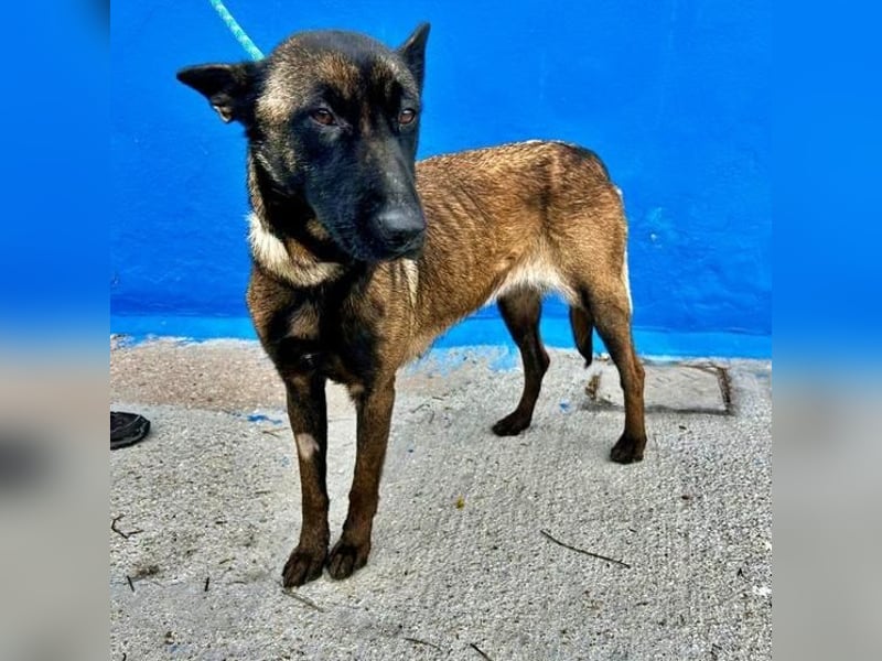 LILA will gefördert werden