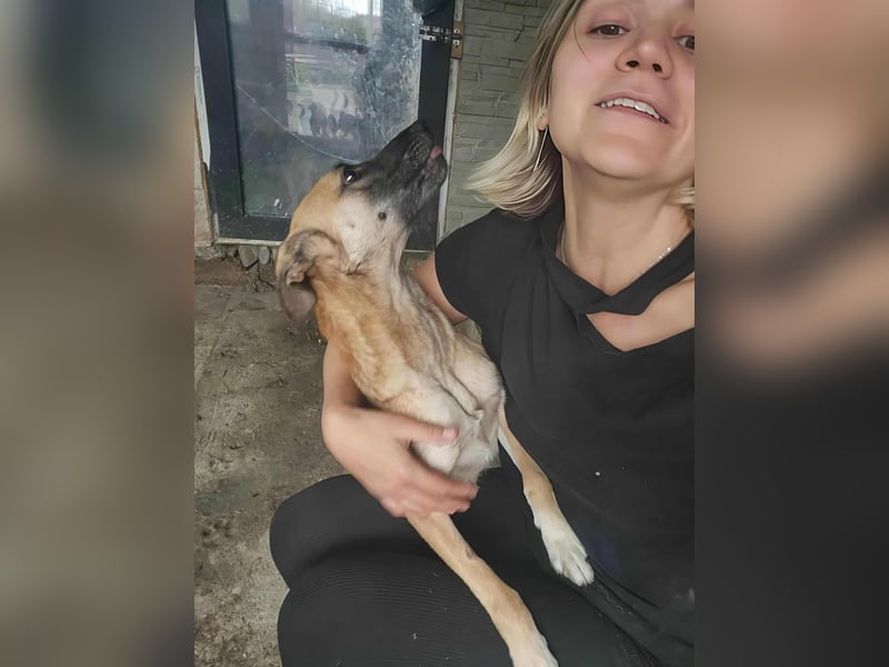 TALVI ♥ - Gefunden auf der Straße in Rumänien