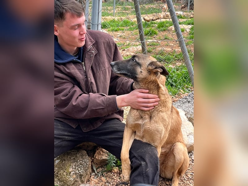 freundliche agile MOON