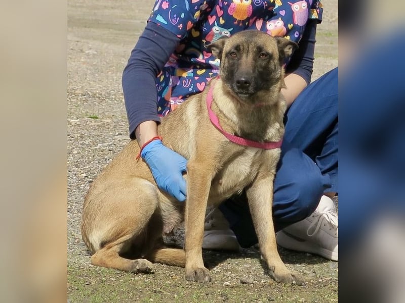 Celine - zutraulich, verschmust und lernwillig