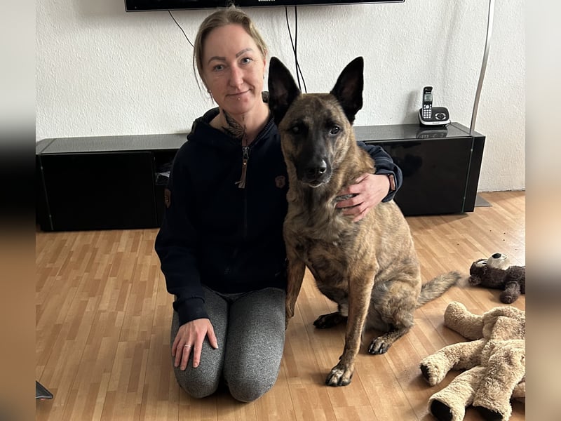 Treuer Mali sucht liebevolles zu Hause