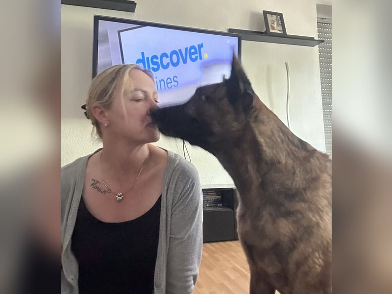 Treuer Mali sucht liebevolles zu Hause