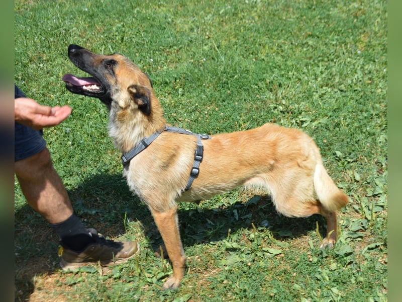 Enya - mit trauriger Vergangenheit