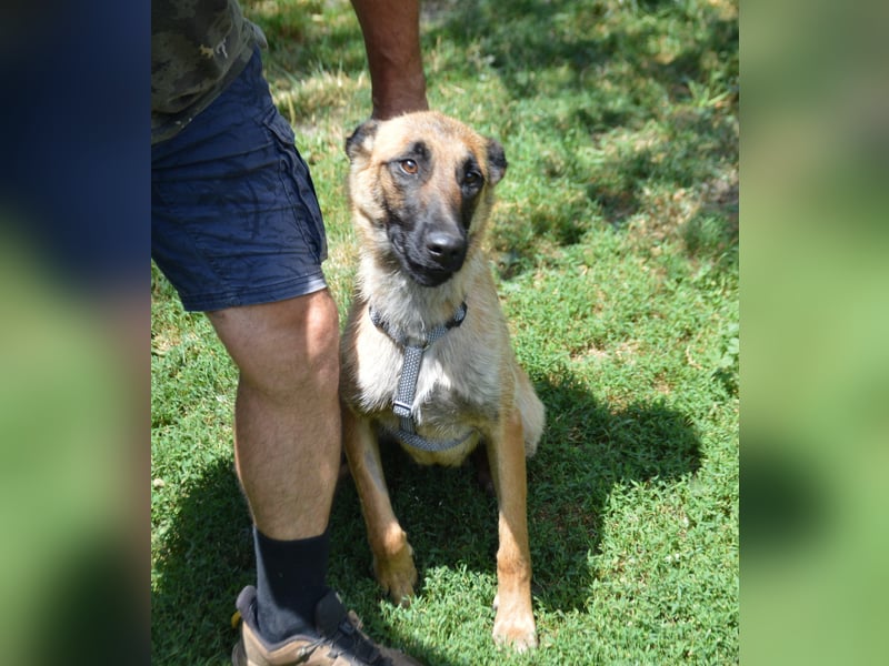 Enya - mit trauriger Vergangenheit