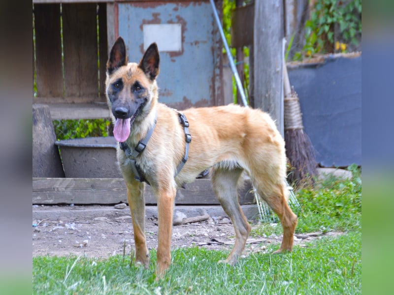 Enya - mit trauriger Vergangenheit