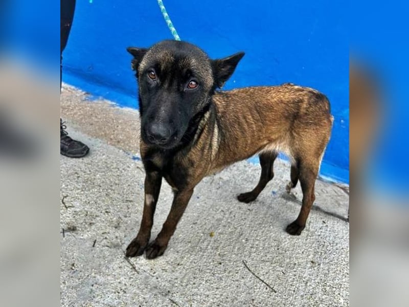 LILA will gefördert werden