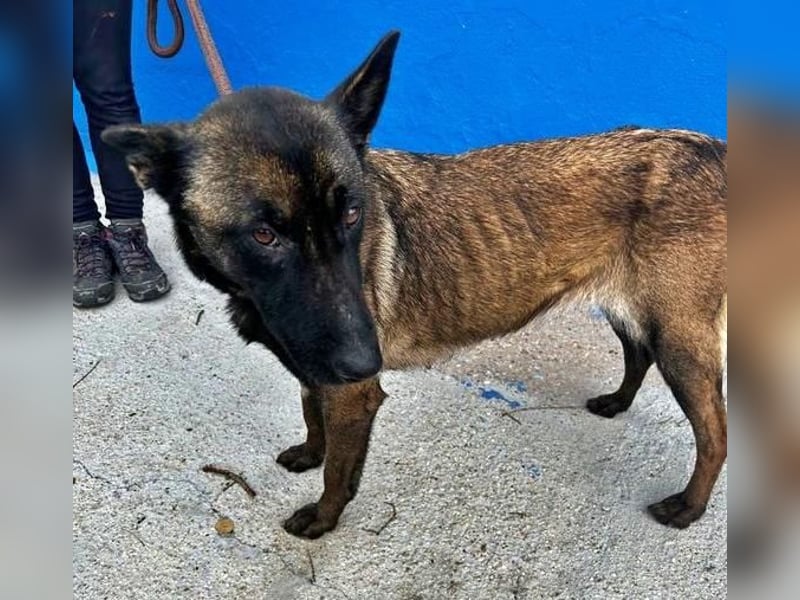 LILA will gefördert werden