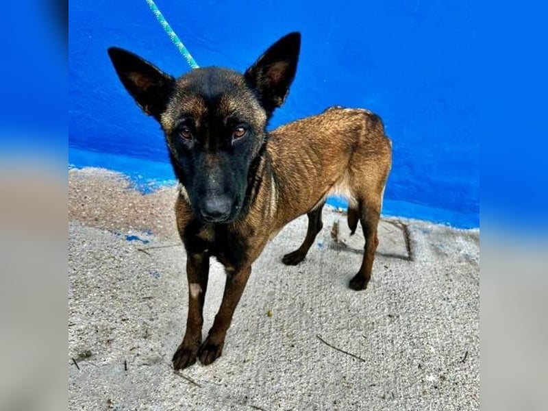 LILA will gefördert werden