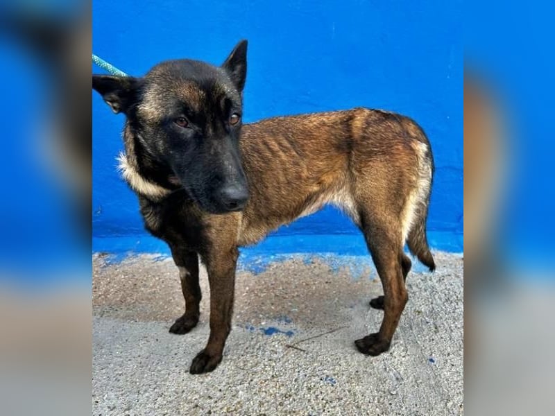 LILA will gefördert werden