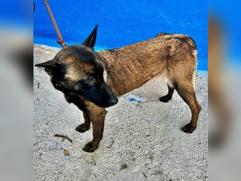 LILA will gefördert werden