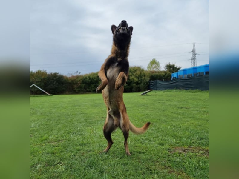 Max