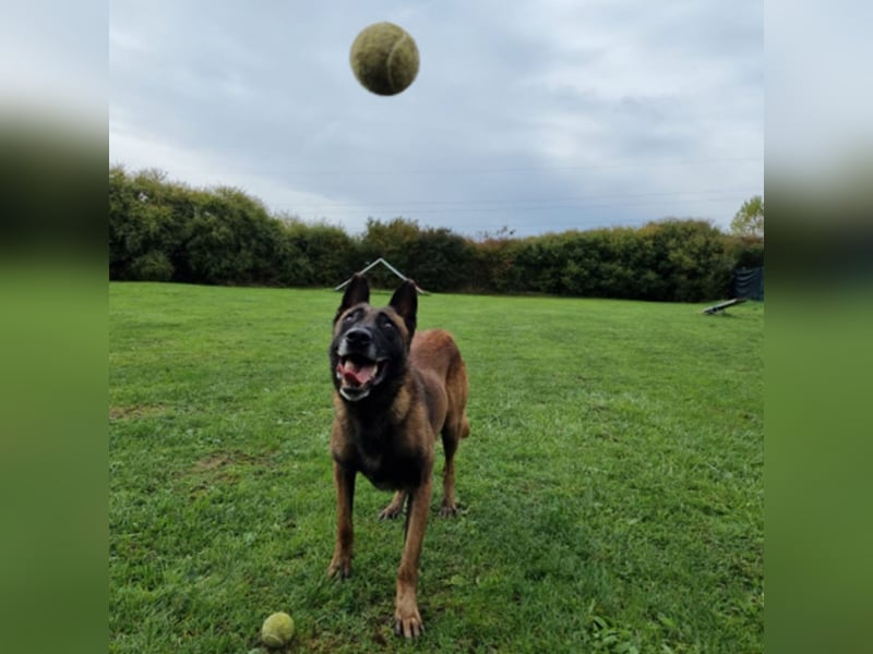 Max