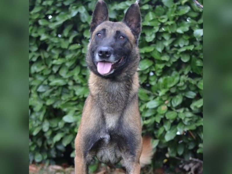 Max