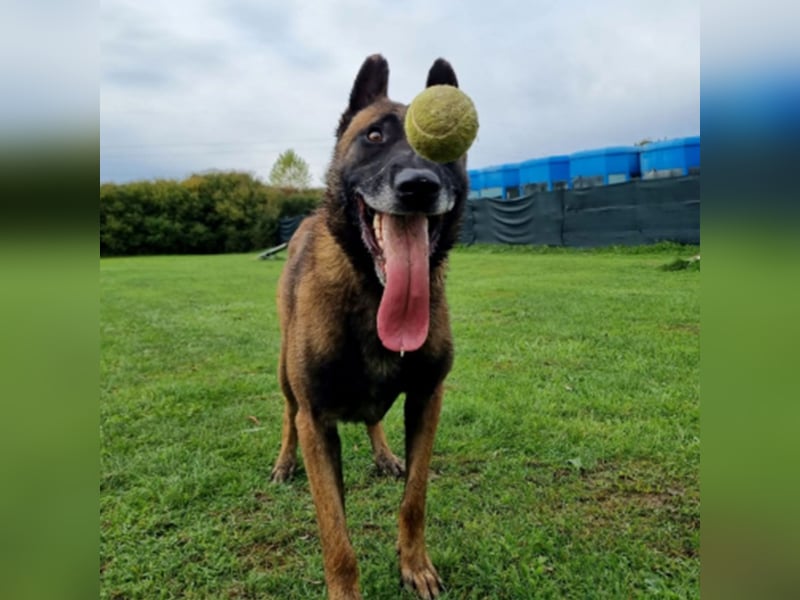 Max