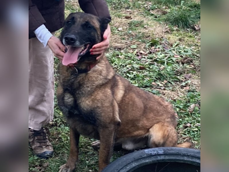 Max