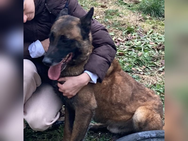 Max