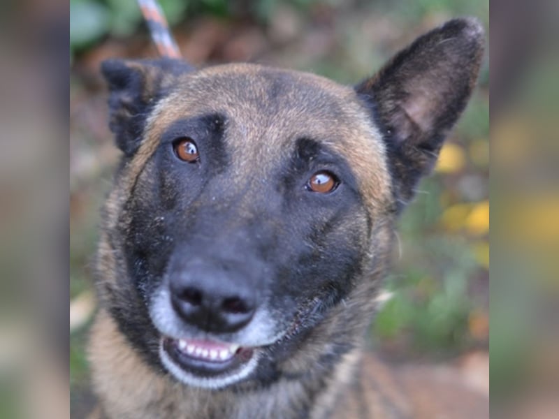 Max
