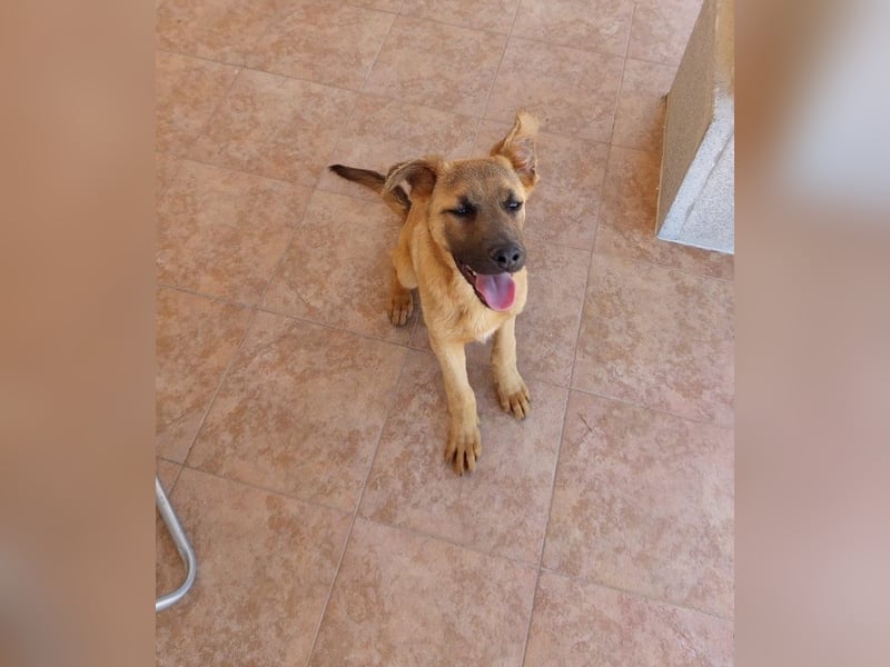 Milo