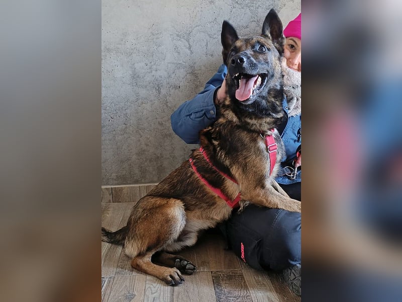 Lio - Best Buddy gesucht!