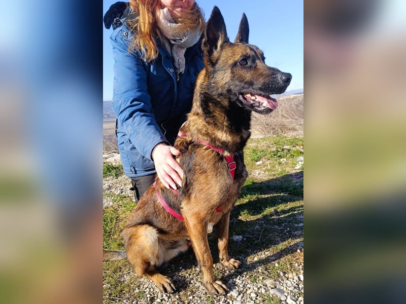 Lio - Best Buddy gesucht!