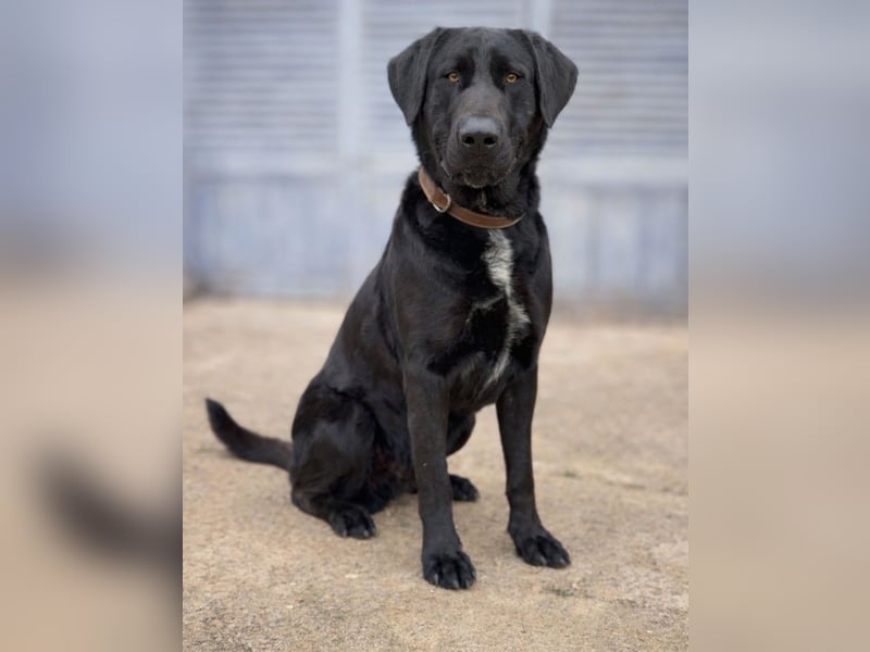 Newton sucht menschliche Nähe