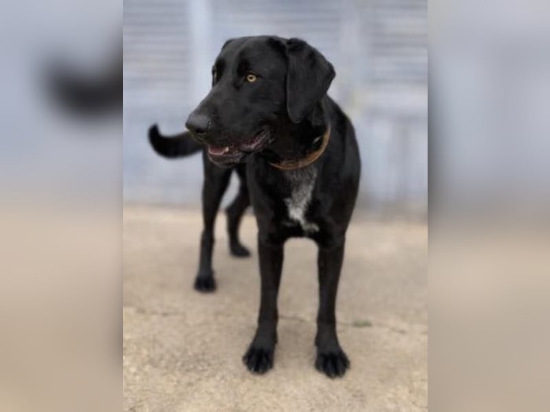 Newton sucht menschliche Nähe