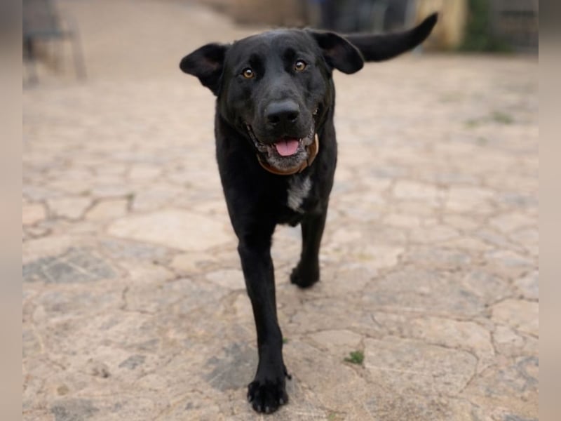 Newton sucht menschliche Nähe