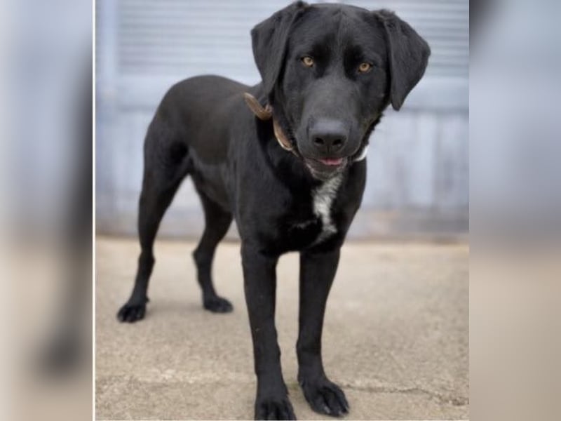 Newton sucht menschliche Nähe