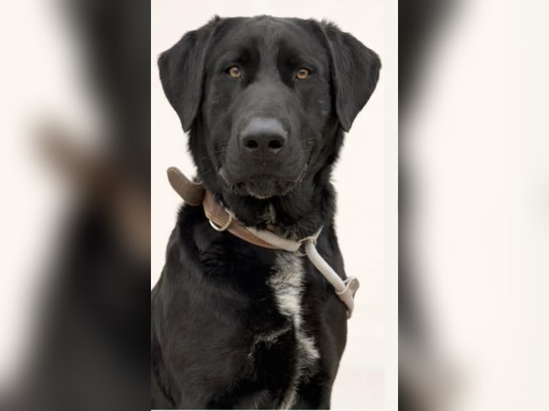 Newton sucht menschliche Nähe