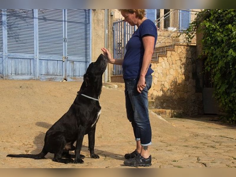 Menut ist ein außergewöhnlicher Hund