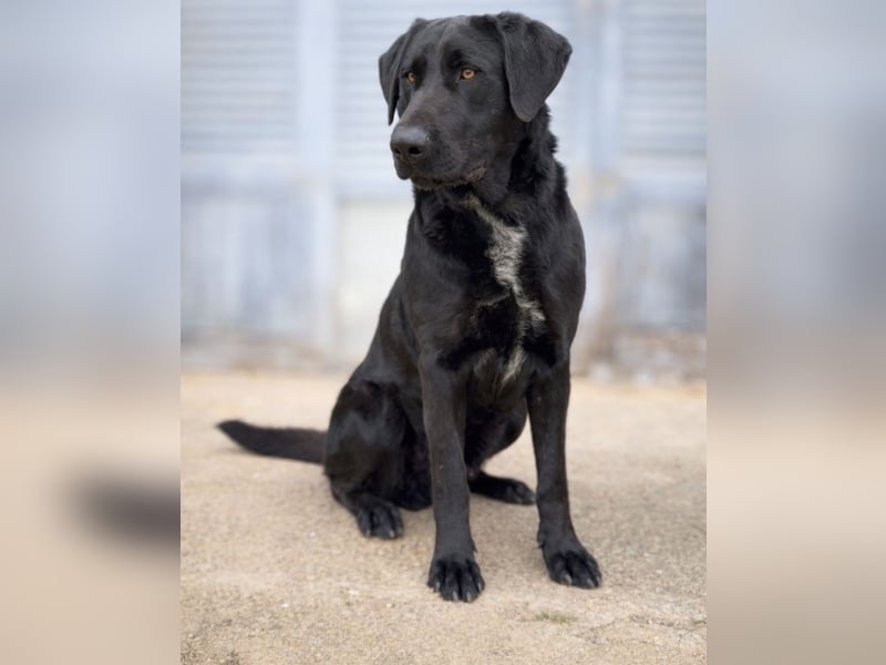 Newton sucht menschliche Nähe