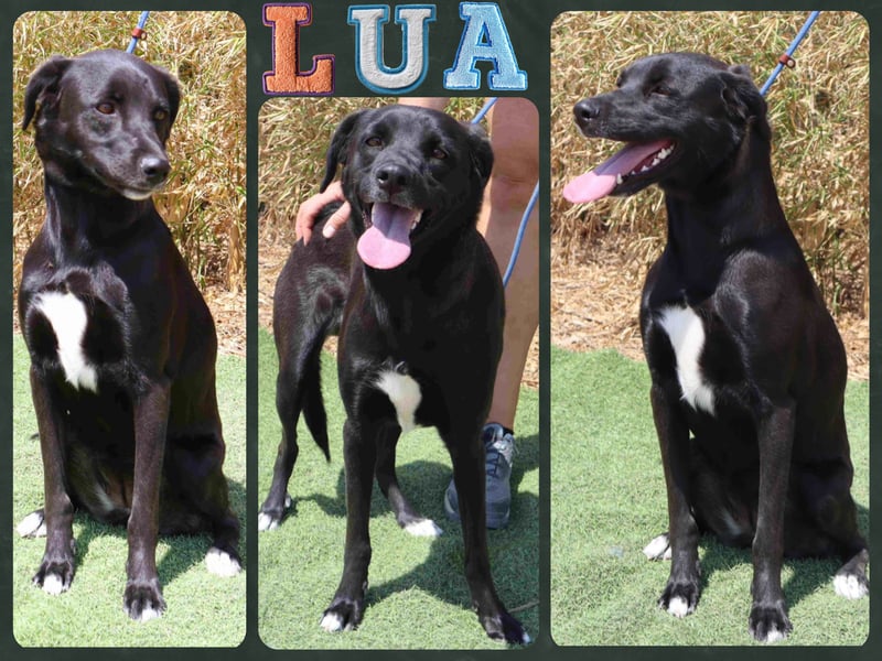 •L•U•A• | lebte in einer Wohnung in der Stadt |