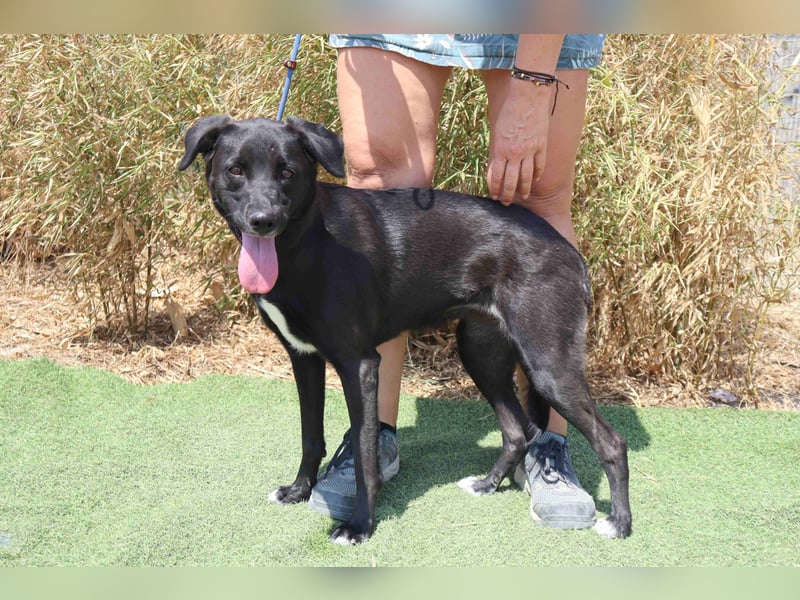 •L•U•A• | lebte in einer Wohnung in der Stadt |