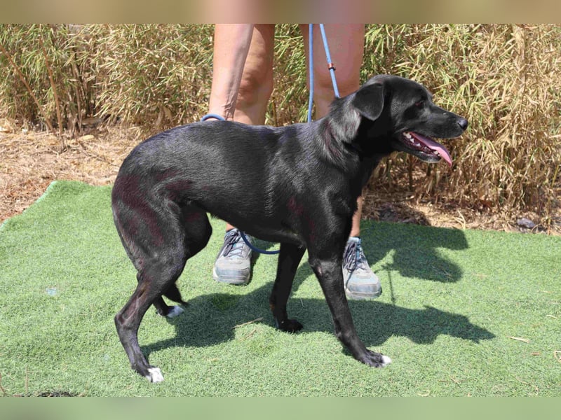 •L•U•A• | lebte in einer Wohnung in der Stadt |