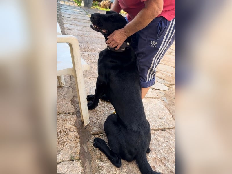 Valentino V45 ist ein sensibler Rohdiamant