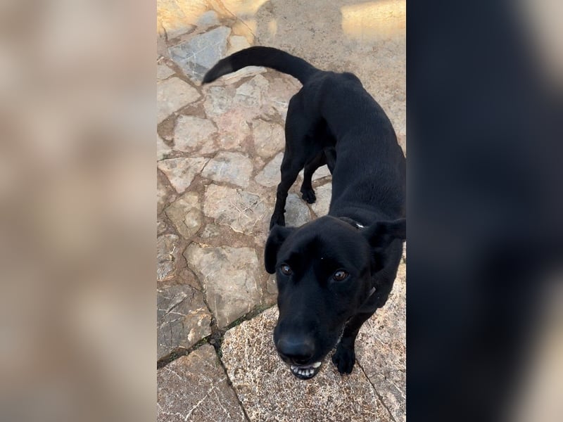 Valentino V45 ist ein sensibler Rohdiamant