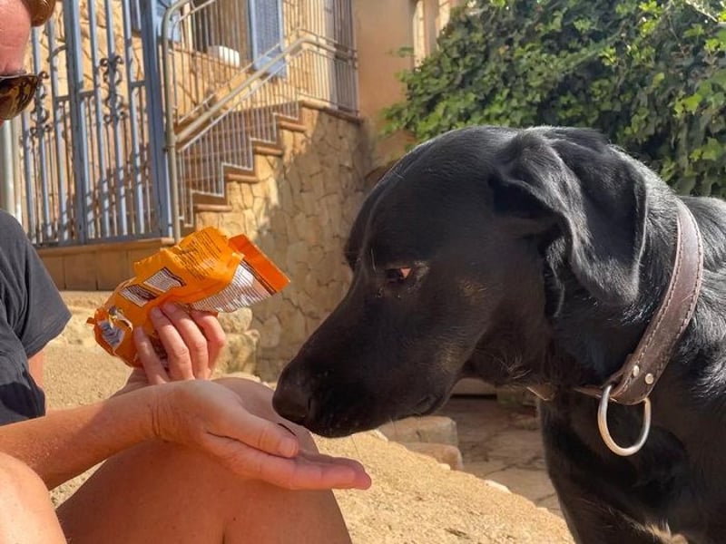 Valentino V45 ist ein sensibler Rohdiamant