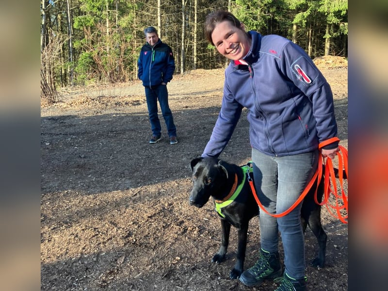 Nicki - treuer Beschützer und Begleiter - Tierhilfe Franken e.V.