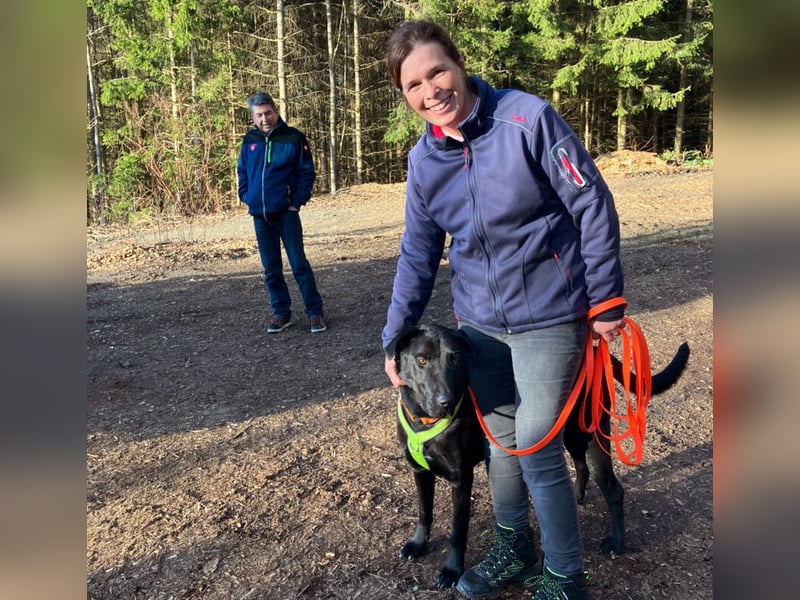 Nicki - treuer Beschützer und Begleiter - Tierhilfe Franken e.V.