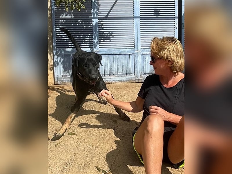 Einstein ist ein Herz von einem Hund