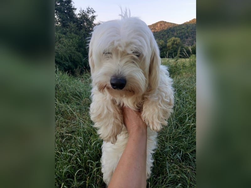 ATHOS – ein Junge mit schwerem Start, der ein echtes Zuhause sucht