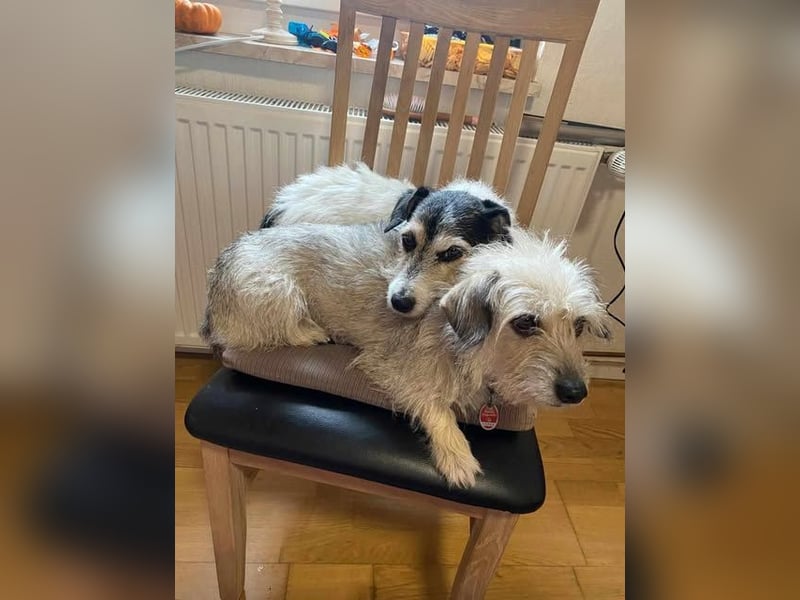 Anny und Max das etwas angegraute Duo