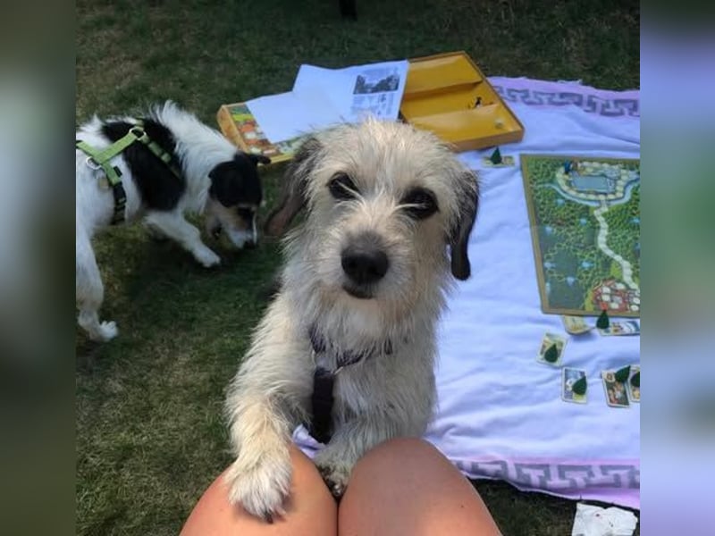 Anny und Max das etwas angegraute Duo