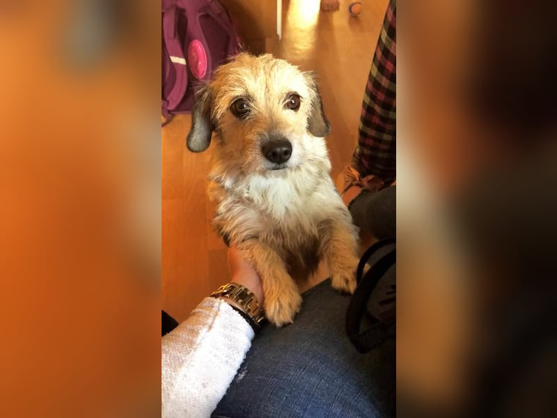 Anny und Max das etwas angegraute Duo