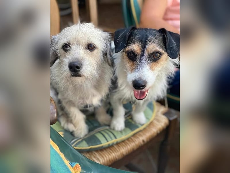 Anny und Max das etwas angegraute Duo