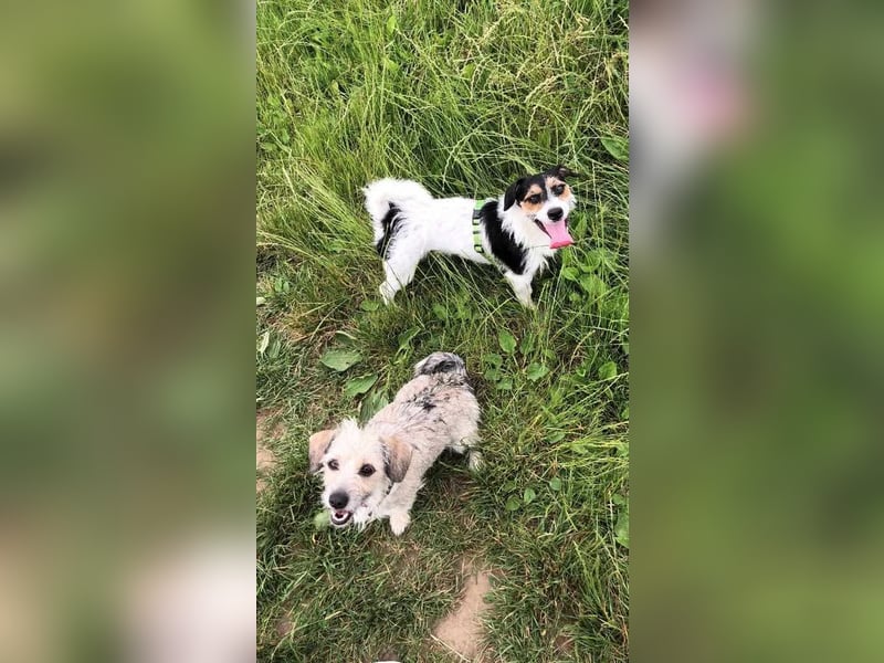 Anny und Max das etwas angegraute Duo