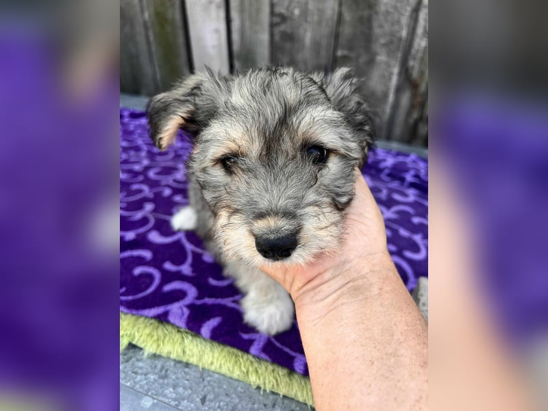 Chloe